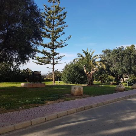 Homely Apartments Vinalaguna La Mata (Torrevieja) Exterior photo